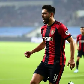Renovação de Calleri